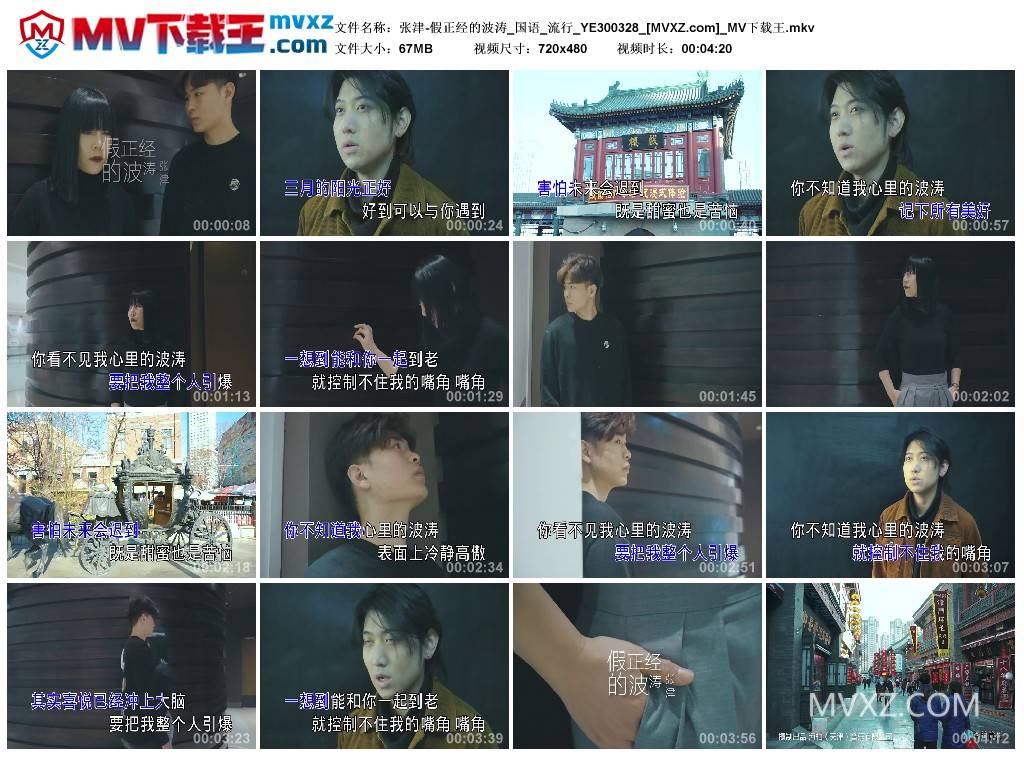 张津-假正经的波涛_国语_流行_YE300328